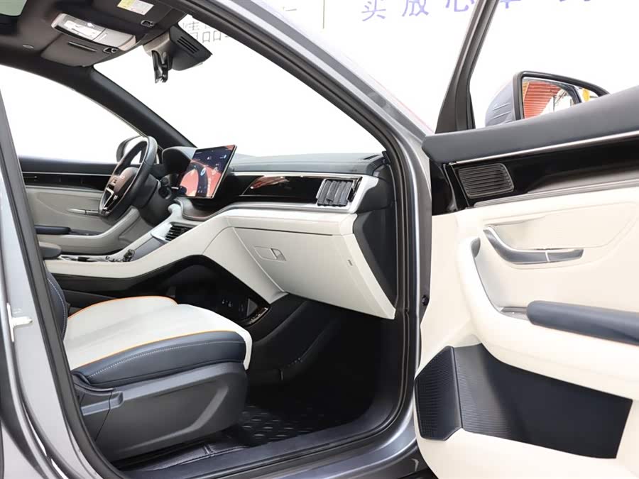 BYD Song Plus New Energy 2023 immagine di auto #9