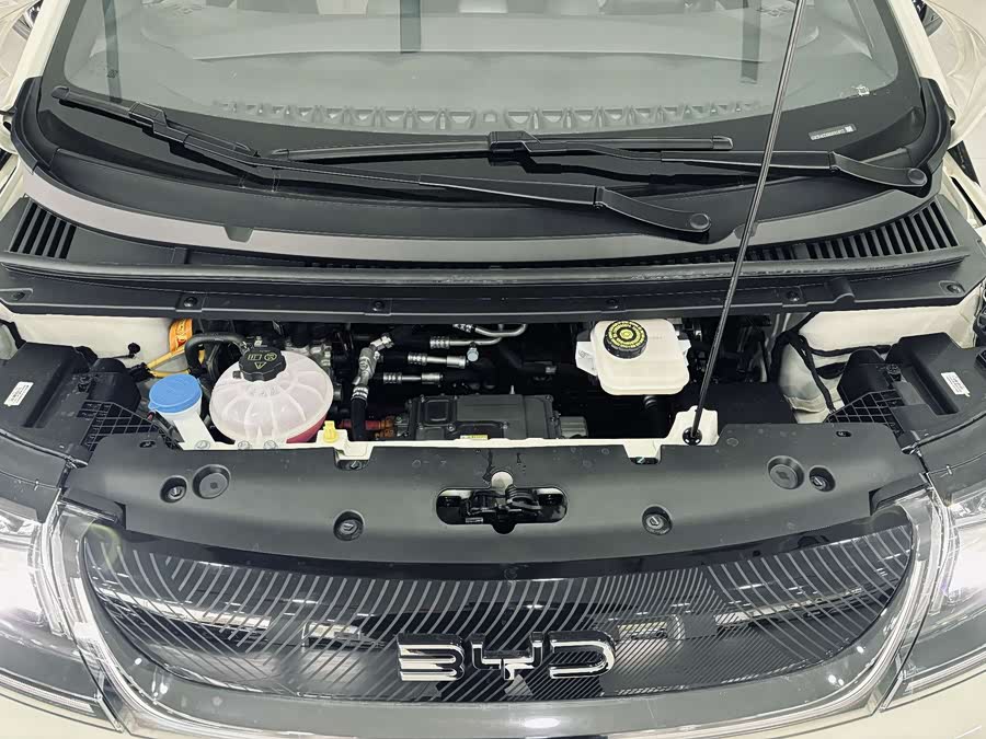 BYD Dolphin 2024 imagem de carro #9