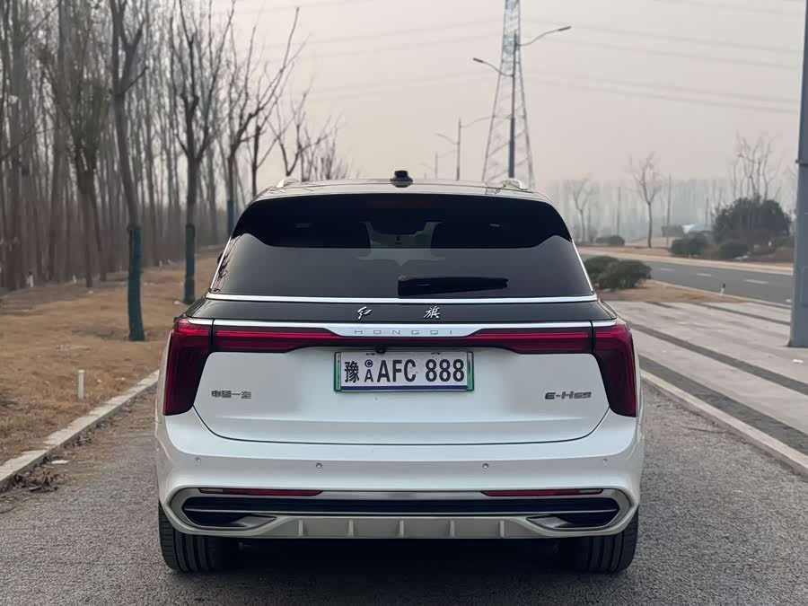 HongQi E-HS9 2021 immagine di auto #9