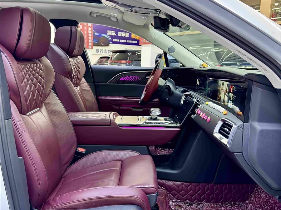 HongQi E-HS9 2021 image de voiture #9