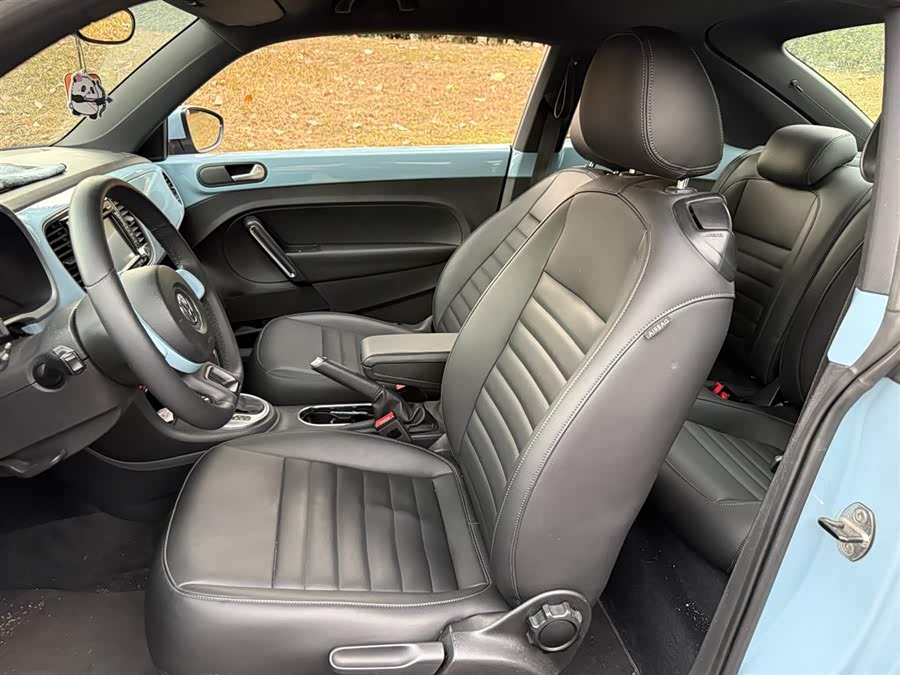 Volkswagen Beetle 2014 immagine di auto #9