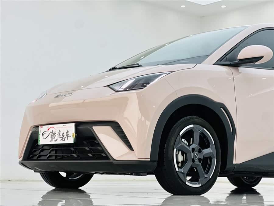 BYD Seagull 2024 car image #9