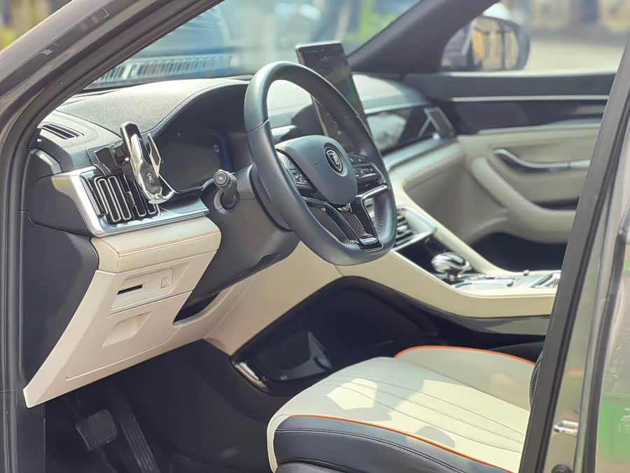 BYD Song Plus New Energy 2022 car image #9