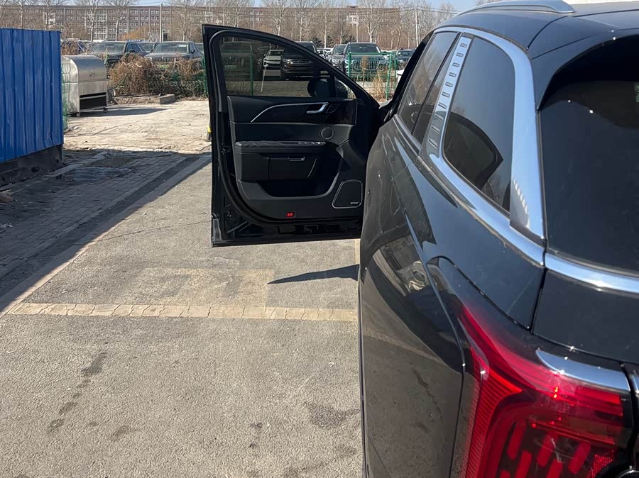 HongQi E-HS9 2023 image de voiture #9