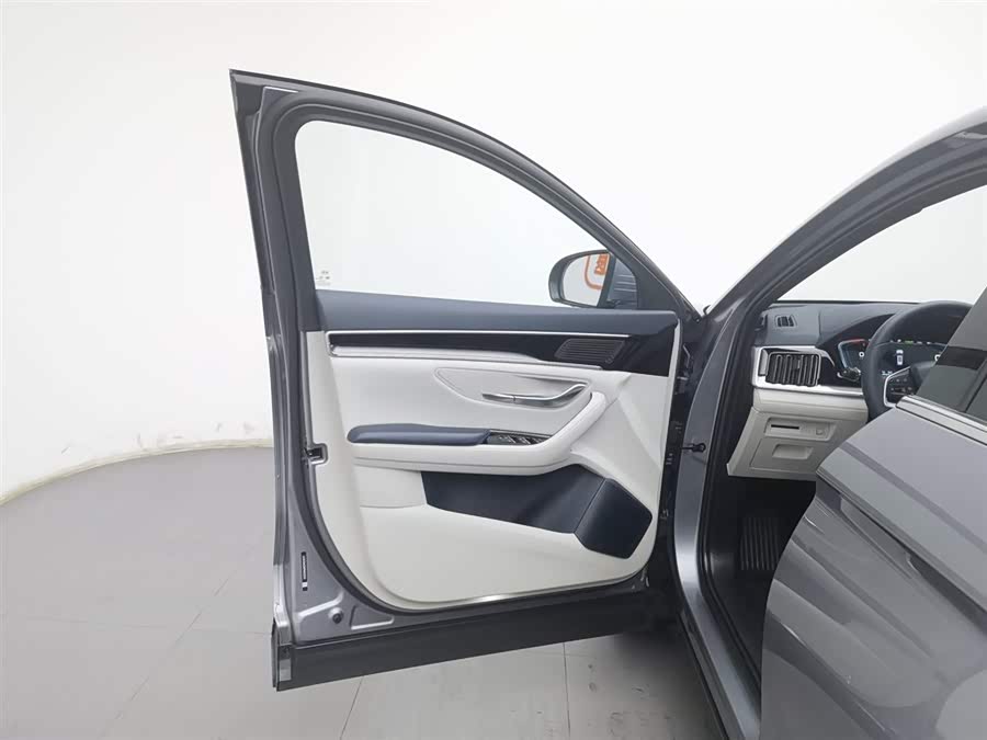 BYD Song Plus New Energy 2023 immagine di auto #9