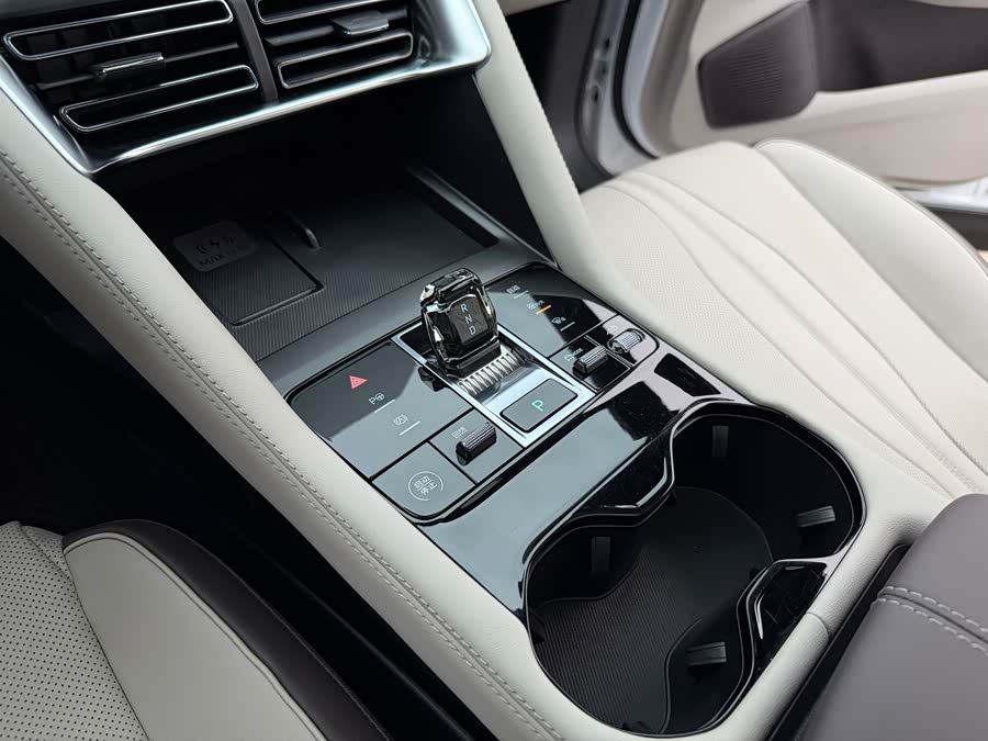 BYD Song Plus New Energy 2025 car image #9