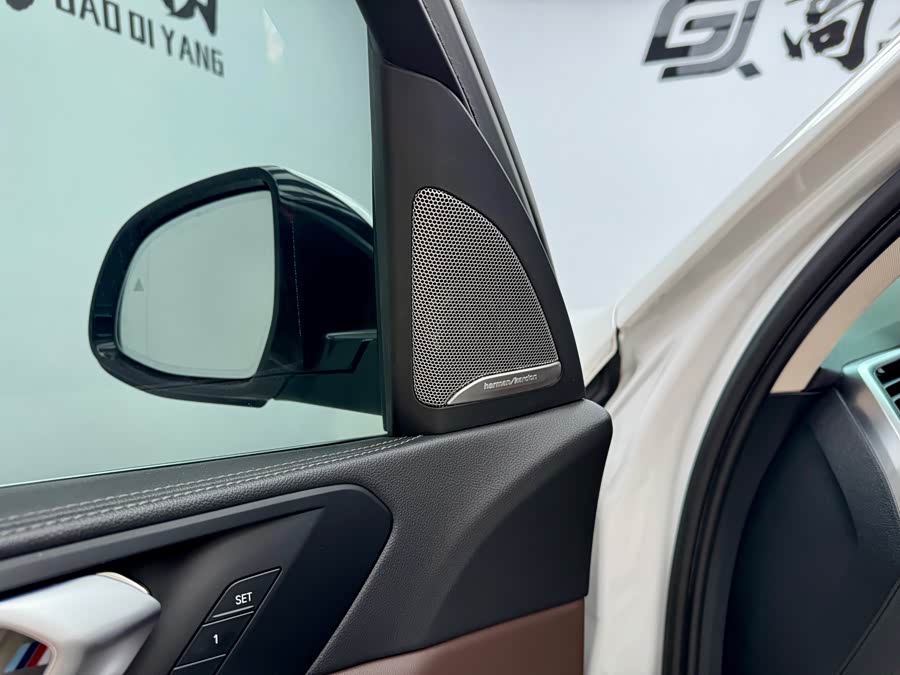 BMW X5 2022 imagen de coche #9