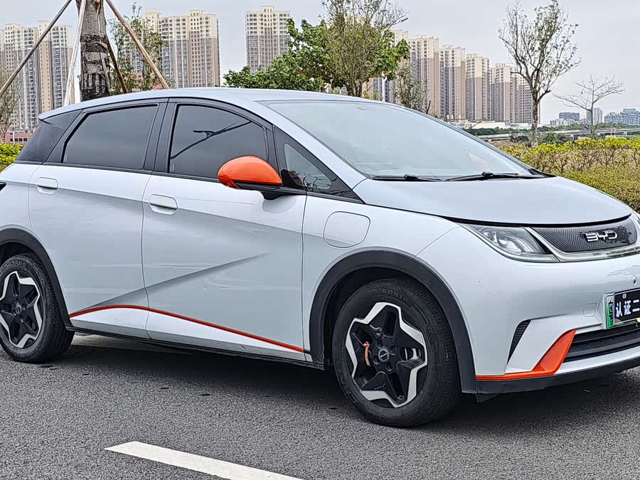 BYD Dolphin 2021 imagen de coche #9