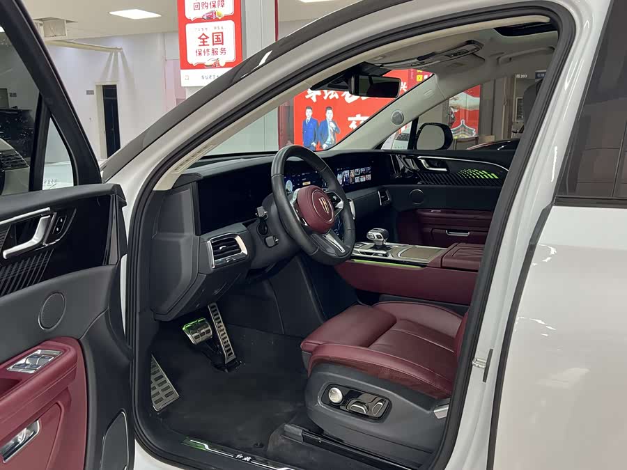 HongQi E-HS9 2023 immagine di auto #9