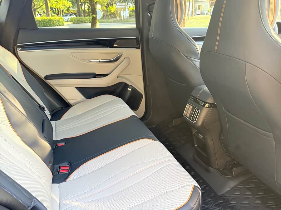 BYD Song Plus New Energy 2023 car image #9