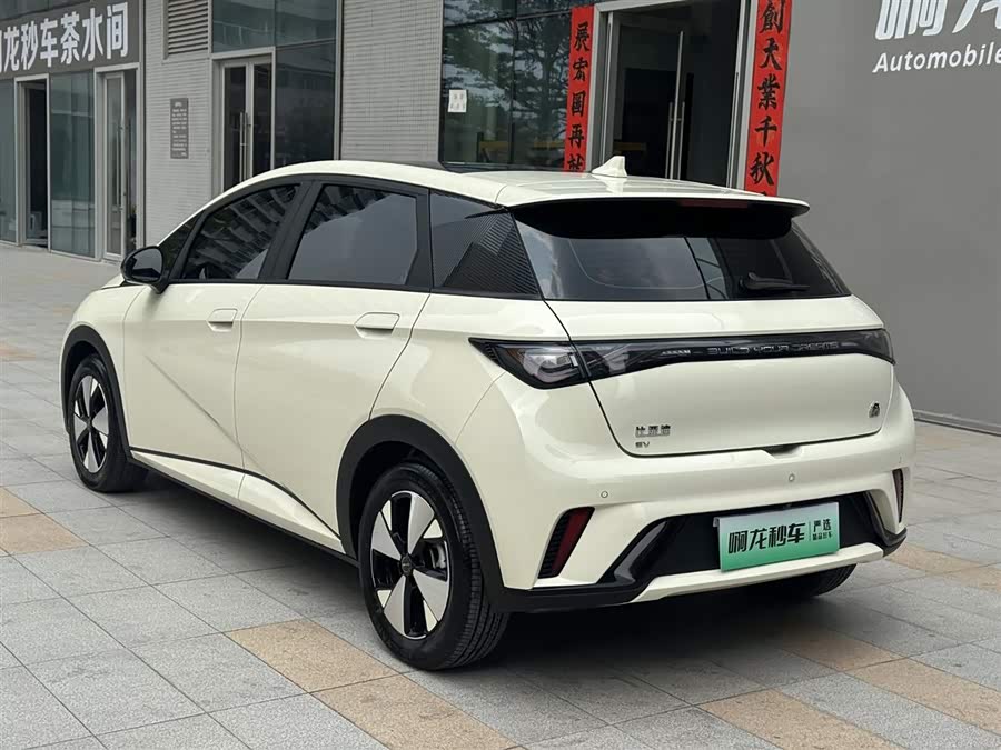 BYD Dolphin 2023 imagem de carro #9