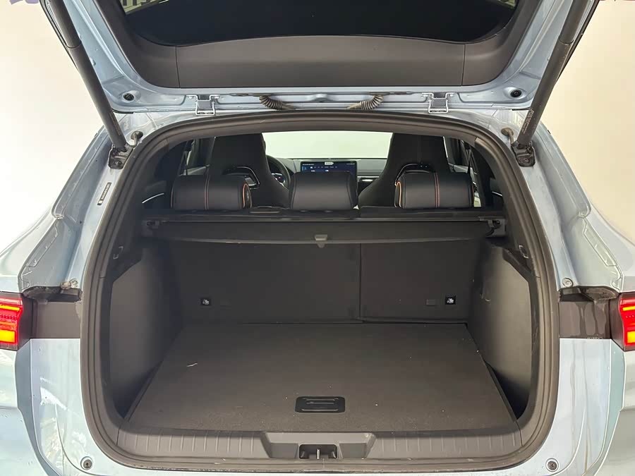 BYD Song Plus New Energy 2024 immagine di auto #9