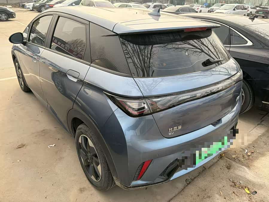 BYD Dolphin 2024 صورة سيارة #9