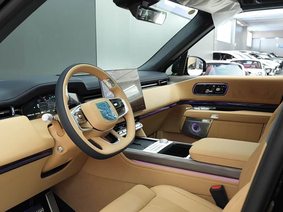 极氪 极氪9X 2026 汽车图片 #9