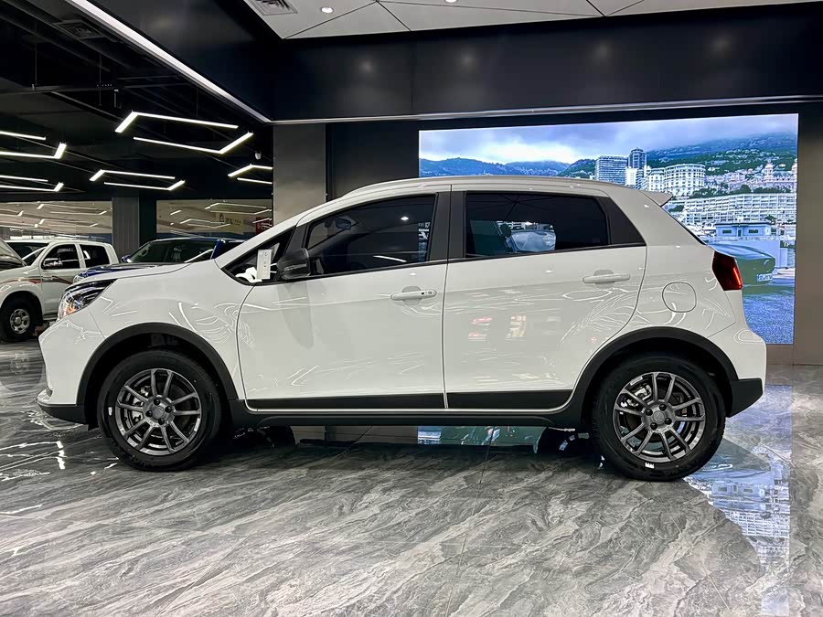 睿蓝汽车 睿蓝汽车X3 PRO 2025 汽车图片 #9