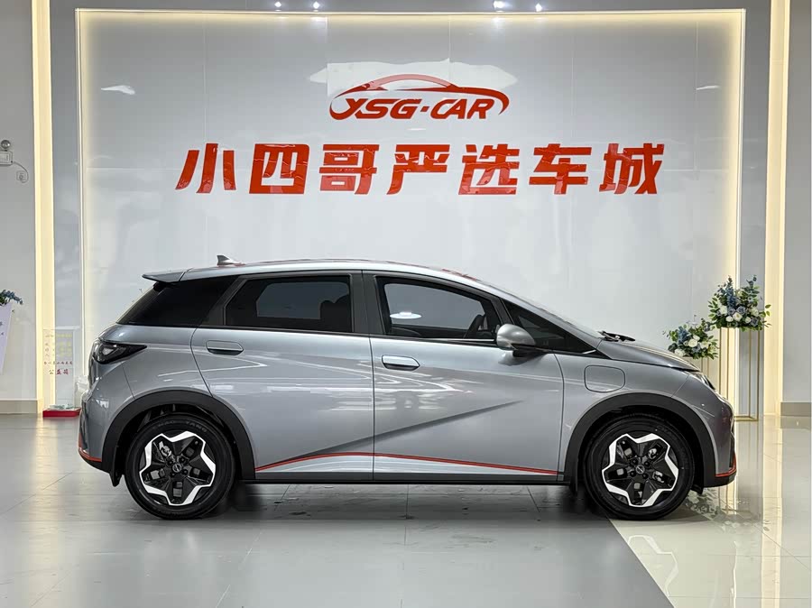BYD Dolphin 2023 imagem de carro #9