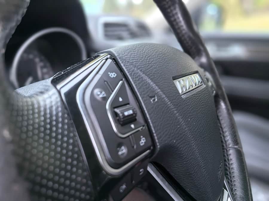 Haval H6 Coupe 2016 imagen de coche #9