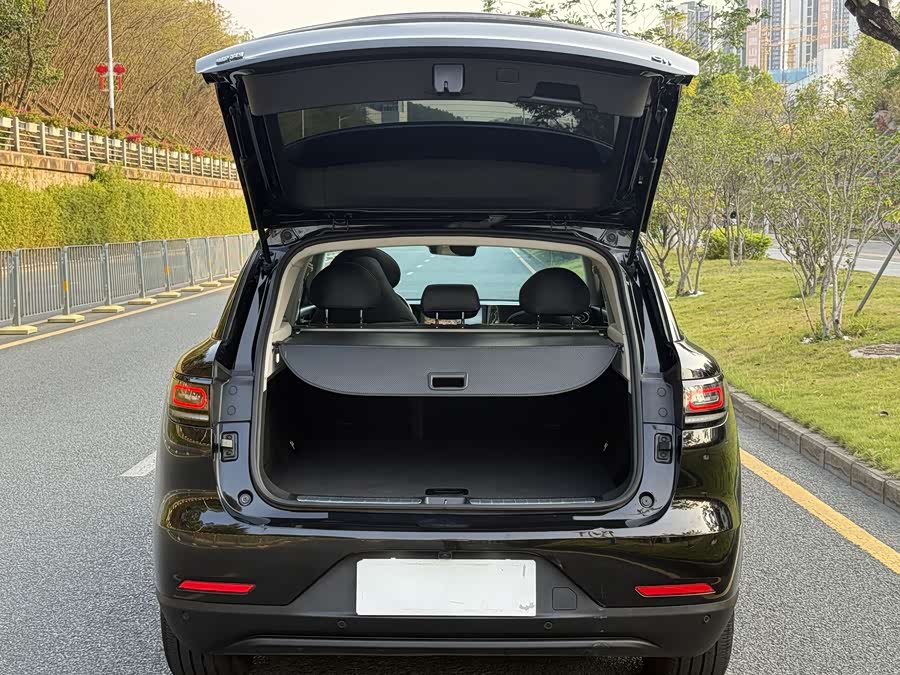 零跑汽车 零跑C11 2023 汽车图片 #9