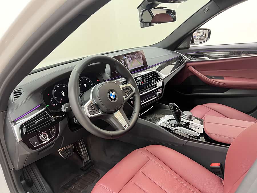 BMW 5 Series 2019 car image #9