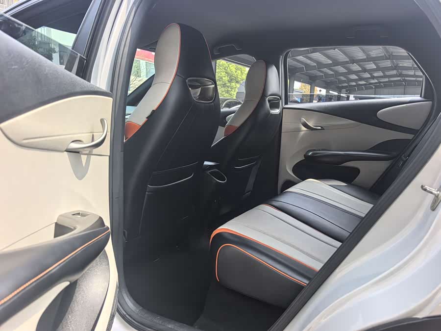 BYD Dolphin 2021 imagem de carro #9