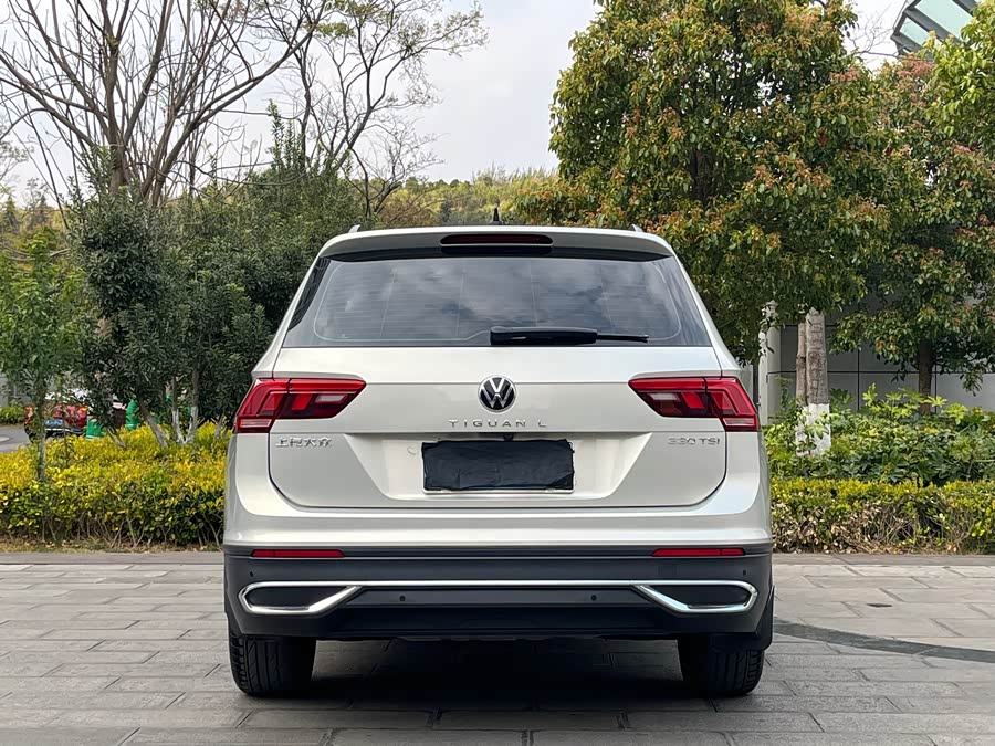 Volkswagen Tiguan L 2024 car image #9