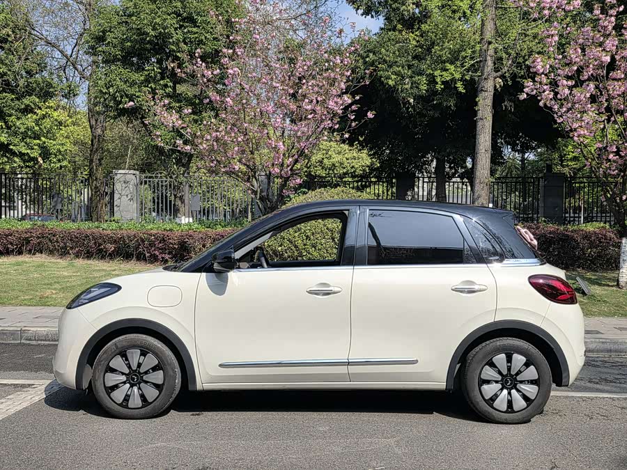 Wuling Binguo 2024 imagen de coche #9