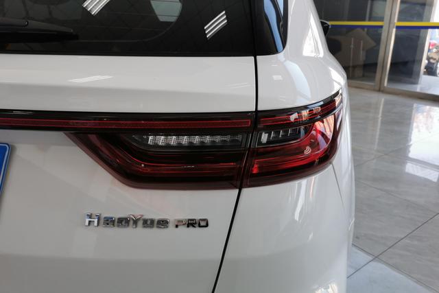 GEELY OkavangoPRO 2024 car image #9