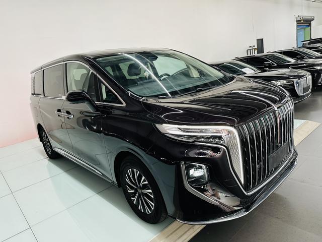 HongQi HQ9 PHEV 2024 immagine di auto #9
