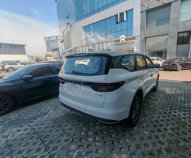 睿蓝汽车 枫叶80v PRO 2023 汽车图片 #9