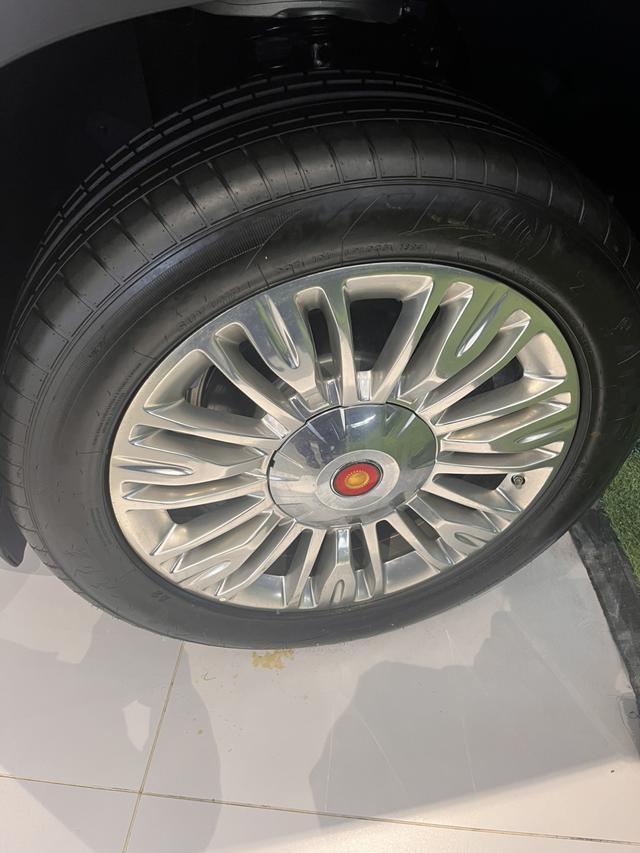 HongQi GuoYao car image #9