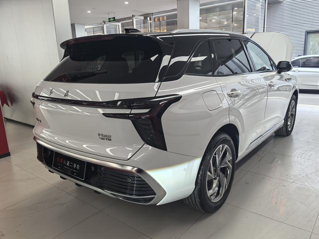 HongQi HS3 2023 immagine di auto #9