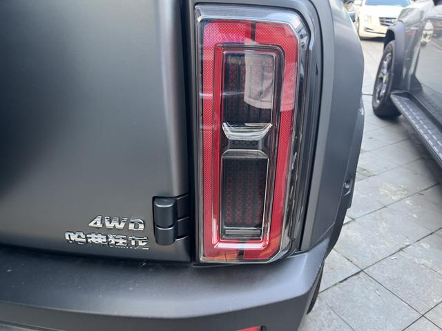 Haval Raptor 2025 immagine di auto #9