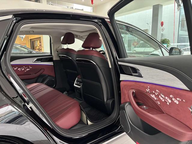 HongQi H5 PHEV image de voiture #9