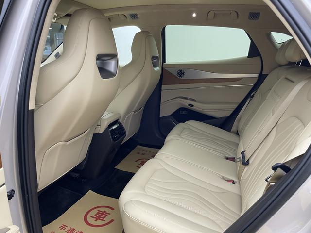 Denza N7 2023 car image #9