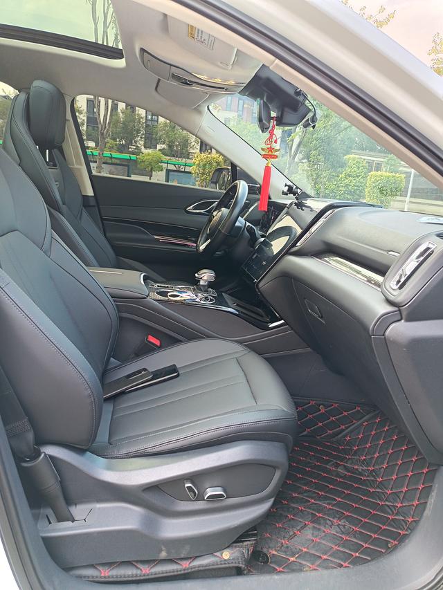 HongQi HS3 2023 immagine di auto #9