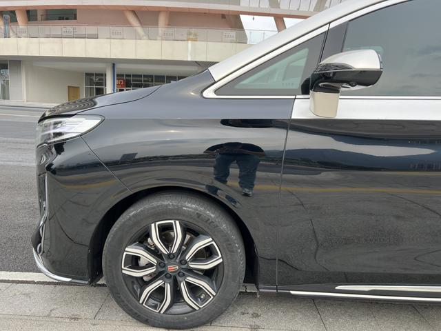 HongQi HQ9 2023 car image #9