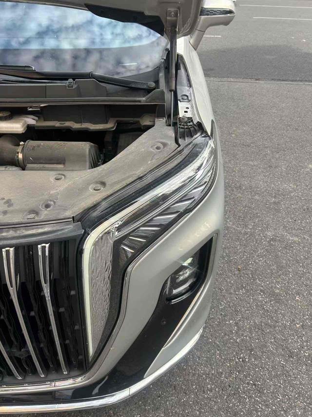 HongQi HQ9 2022 immagine di auto #9