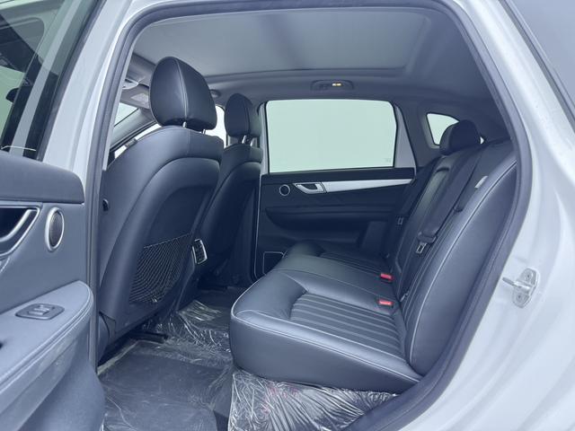 Denza DENZA 2017 car image #9