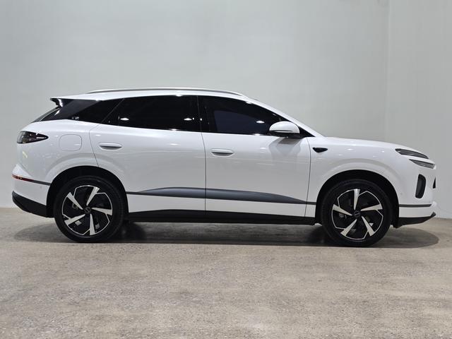 BYD Sea Lion 06 New Energy 2025 car image #9