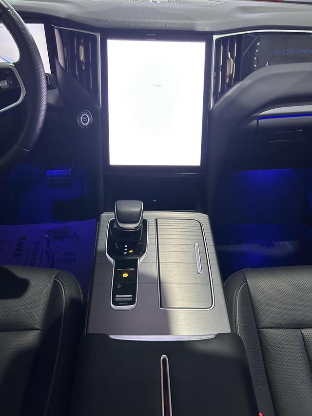 HongQi HS7 PHEV 2024 car image #9