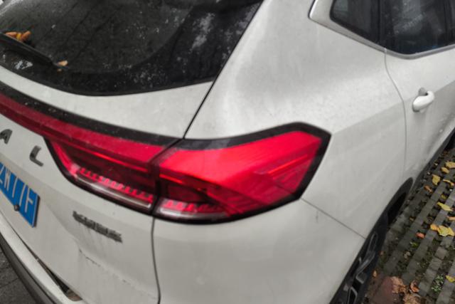 Haval H6 2021 car image #9