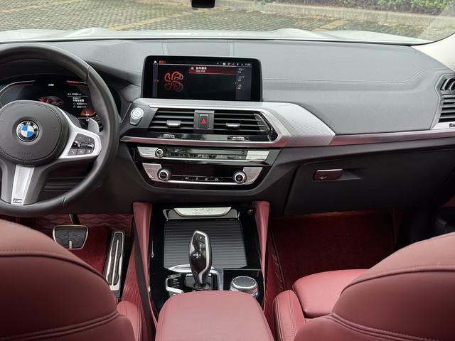 BMW X4 2021 immagine di auto #9