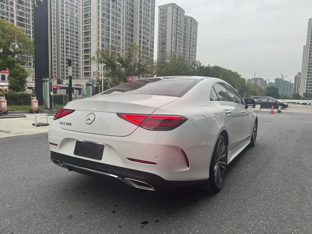 Mercedes-Benz CLS Class 2020 car image #9