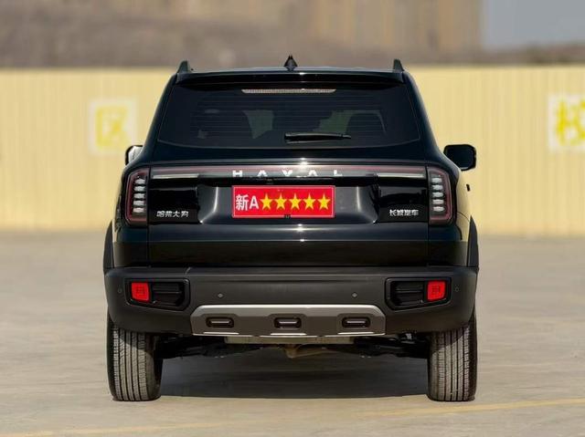 Haval X Dog / Dargo 2024 #9 Haval X Dog / Dargo 2024 car image #9