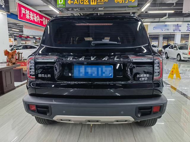 Haval X Dog / Dargo 2023 car image #9