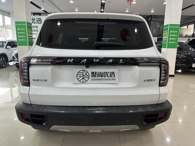 Haval X Dog / Dargo 2020 #9 Haval X Dog / Dargo 2020 car image #9