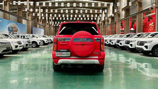 Tank 500 2024 car image #9