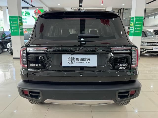 Haval X Dog / Dargo 2022 #9 Haval X Dog / Dargo 2022 car image #9