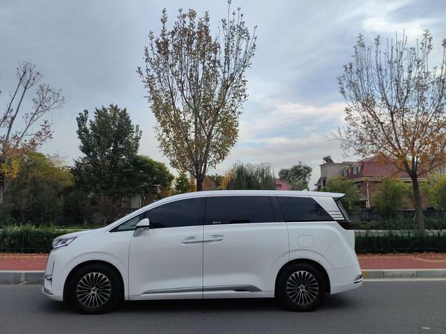 Denza X 2023 car image #9