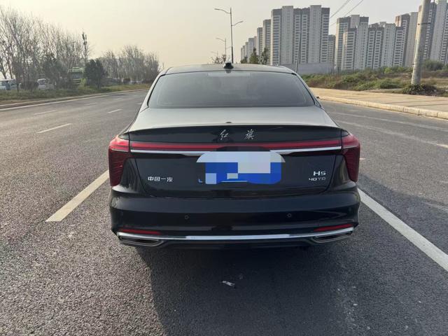 HongQi E-HS3 2025 #9 HongQi E-HS3 2025 car image #9